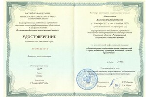 Диплом / сертификат №2 — Матросова Александра Викторовна