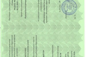 Диплом / сертификат №17 — Степанова Марина Михайловна