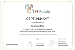 Диплом / сертификат №15 — Бакеева Яна Сергеевна