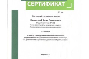 Диплом / сертификат №17 — Каташова Анна Евгеньевна