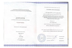 Диплом / сертификат №19 — Каташова Анна Евгеньевна