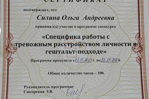 Диплом / сертификат №14 — Силина Ольга Андреевна