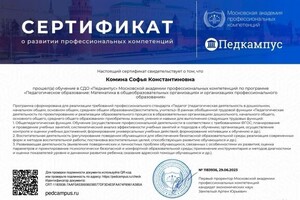 Диплом / сертификат №1 — Комина Софья Константиновна