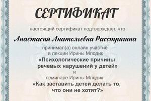 Психологические причины речевых нарушений — Расстригина Анастасия Анатольевна