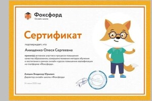 Диплом / сертификат №10 — Анищенко Олеся Сергеевна