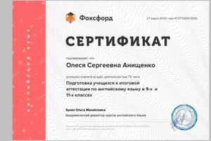 Диплом / сертификат №14 — Анищенко Олеся Сергеевна