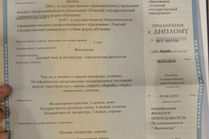 Диплом — Гусейн-Заде Ирина Артуровна