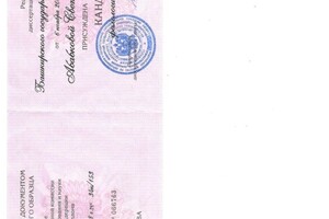 Диплом / сертификат №8 — Абабкова Светлана Геннадьевна