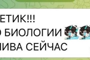 Результаты учеников — Ачувакова Алина Рустемовна