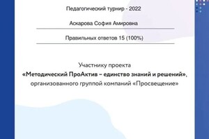 Диплом / сертификат №13 — Аскарова София Амировна