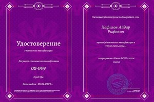 Диплом / сертификат №12 — Хафизов Айдар Рифович