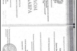 Диплом / сертификат №1 — Кобзов Данила Вячеславович