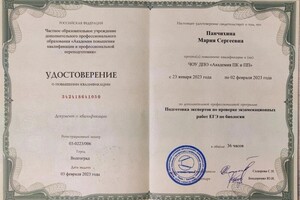 Диплом / сертификат №9 — Панчихина Мария Сергеевна