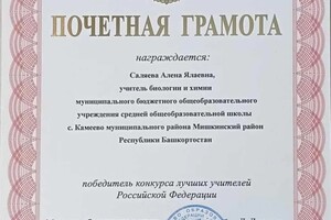 Диплом / сертификат №12 — Саляева Алена Ялаевна