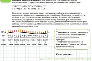 Пример рабочей тетради для практики, которая будет на занятиях — Швецова Светлана Геннадиевна