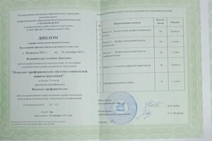 Диплом / сертификат №3 — Якшимбетова Альбина Диясовна