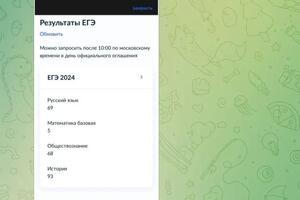 Отзыв 2024 — Феткулова Ира Ахтямовна
