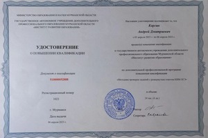 Диплом / сертификат №3 — Каргин Андрей Дмитриевич