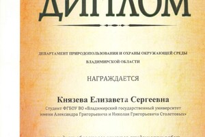 Диплом / сертификат №5 — Князева Елизавета Сергеевна