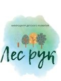 Микроцентр детского развития 