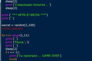 Программа Python Игра в числа — Шитов Александр Владимирович