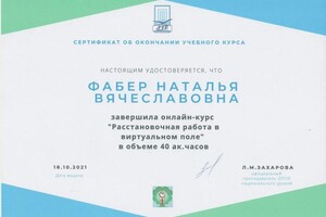 Диплом / сертификат №8 — Фабер Наталья Вячеславовна