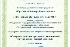 Диплом / сертификат №3 — Ибрагимова Эльмира Валиахметовна