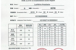 Международный экзамен по китайскому языку HSK — Лушкина Анастасия Сергеевна