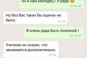 Отзыв родителя. Английский язык — Орлова Александра Павловна