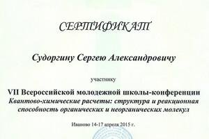 Сертификат участника школы-конференции — Судоргин Сергей Александрович