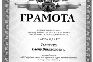 Диплом / сертификат №29 — Тыщенко Елена Викторовна