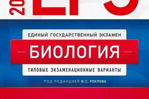 Портфолио №1 — Заболоцкая Александра Валерьевна