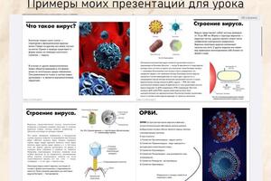 Презентация — Абрамова Арина Сергеевна