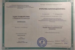 Диплом / сертификат №3 — Егорычева Мария Владимировна