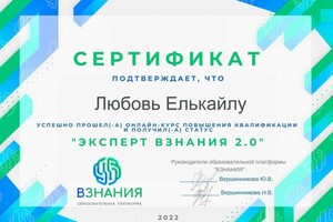 Диплом / сертификат №16 — Елькайлу Любовь Анатольевна