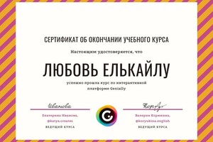 Диплом / сертификат №41 — Елькайлу Любовь Анатольевна