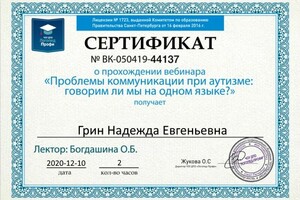 Диплом / сертификат №16 — Грин Надежда Евгеньевна