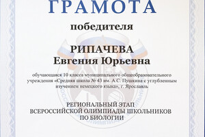 Грамота победителя регионального этапа олимпиады — Рипачева Евгения Юрьевна