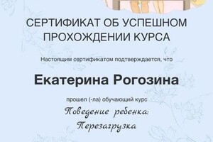 Диплом / сертификат №1 — Рогозина Екатерина Анатольевна