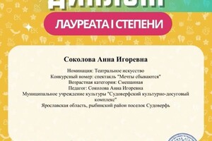 Диплом / сертификат №28 — Соколова Анна Игоревна