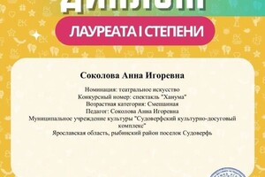 Диплом / сертификат №29 — Соколова Анна Игоревна