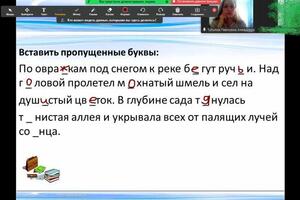 Дистанционное занятие по русскому языку, с использованием презентации и инструмента \