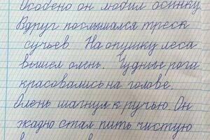 Онлайн занятия по коррекции почерка.; Программа интенсива - каждый день с понедельника по пятницу, продолжительность -... — Ефимова Анна Николаевна