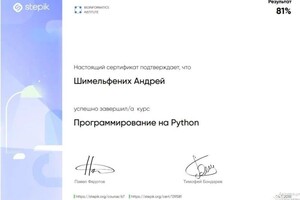 Диплом / сертификат №9 — Шимельфених Андрей Романович