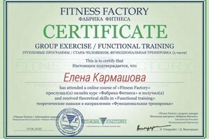 Диплом / сертификат №4 — Кармашова Елена Александровна