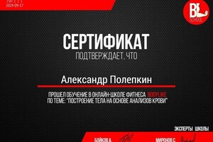 Диплом / сертификат №6 — Полепкин Александр Эдуардович