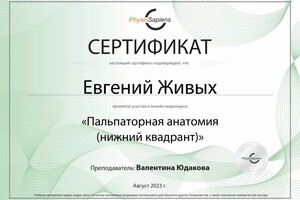 Диплом / сертификат №12 — Живых Евгений Николаевич