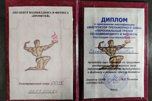 Курзина Елена Дмитриевна — Диплом / сертификат №1