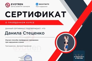 Стеценко Данила Иванович — Портфолио №1