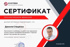 Стеценко Данила Иванович — Портфолио №3